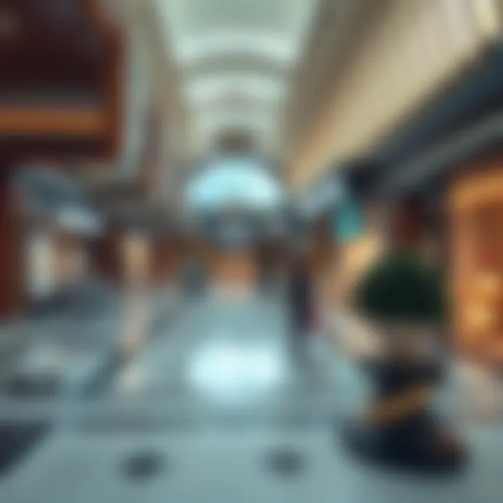 Magnificent A Comprehensive Guide to Spinneys Galleria Mall