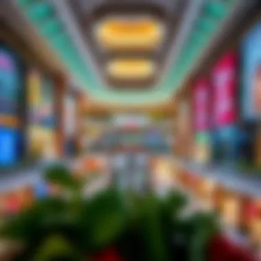 Notable A Comprehensive Guide to Spinneys Galleria Mall Notable A Comprehensive Guide to Spinneys Galleria Mall