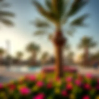 Leisure and Recreation in Al Forsan Community park in Al Forsan, designed for leisure and recreation