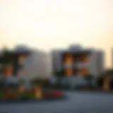 An In-Depth Examination of the Zayed Housing Program Introduction
