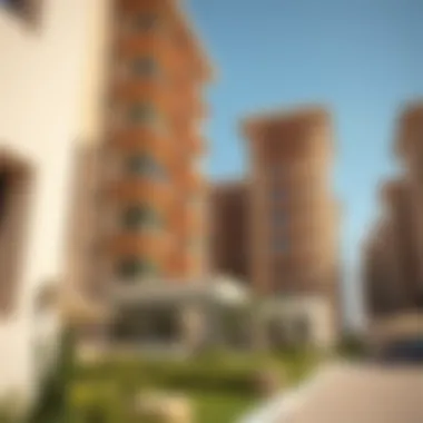 Notable An In-Depth Examination of the Zayed Housing Program Notable An In-Depth Examination of the Zayed Housing Program