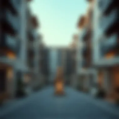 An In-Depth Examination of the Zayed Housing Program Summary An In-Depth Examination of the Zayed Housing Program Summary