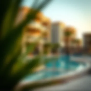 Amenities at Barajeel Residency Community amenities including swimming pool and fitness center
