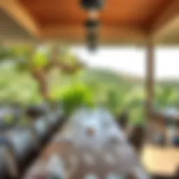 Scenic view of Umm Al Emarat Park dining area