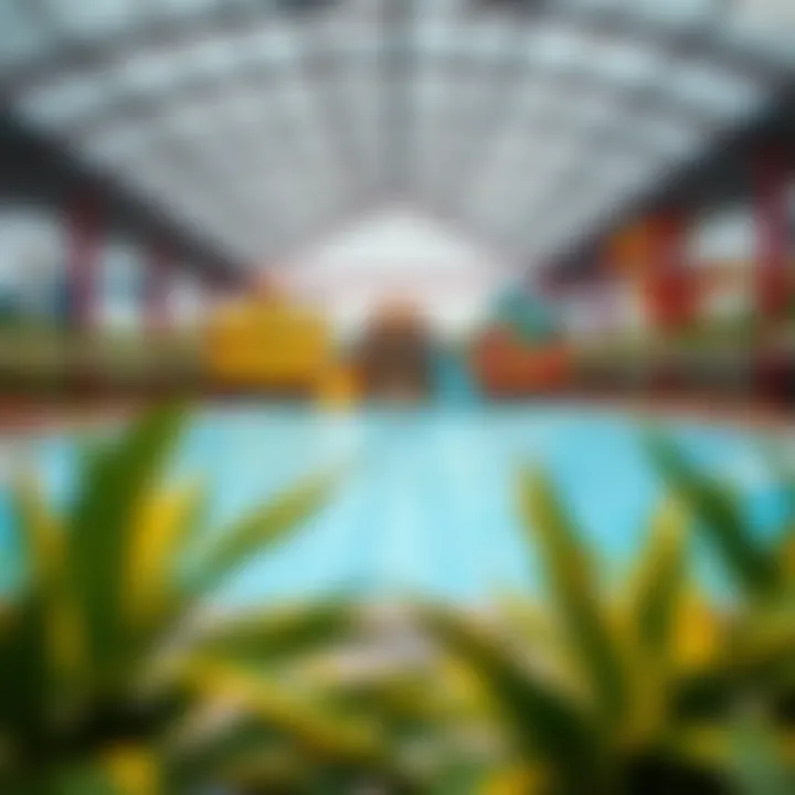 Notable Exploring Dreamland Aquapark: A Comprehensive Overview