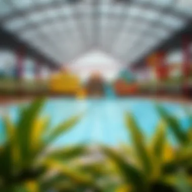 Notable Exploring Dreamland Aquapark: A Comprehensive Overview Notable Exploring Dreamland Aquapark: A Comprehensive Overview