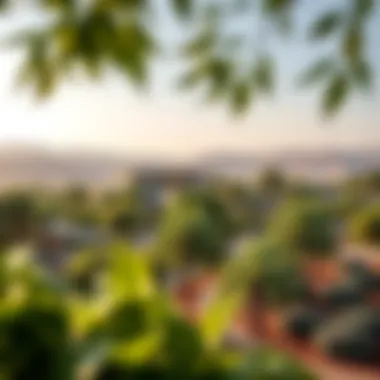 Lush Green Spaces and Parks of Garden Valley Lush greenery and landscaped parks in the heart of Al Quoz.