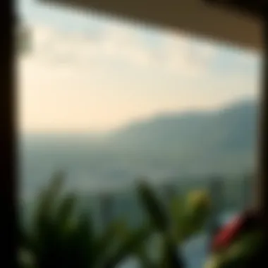 Panoramic Landscape from Radisson Balcony Breathtaking view from a balcony overlooking the lush landscape of Damac Hills