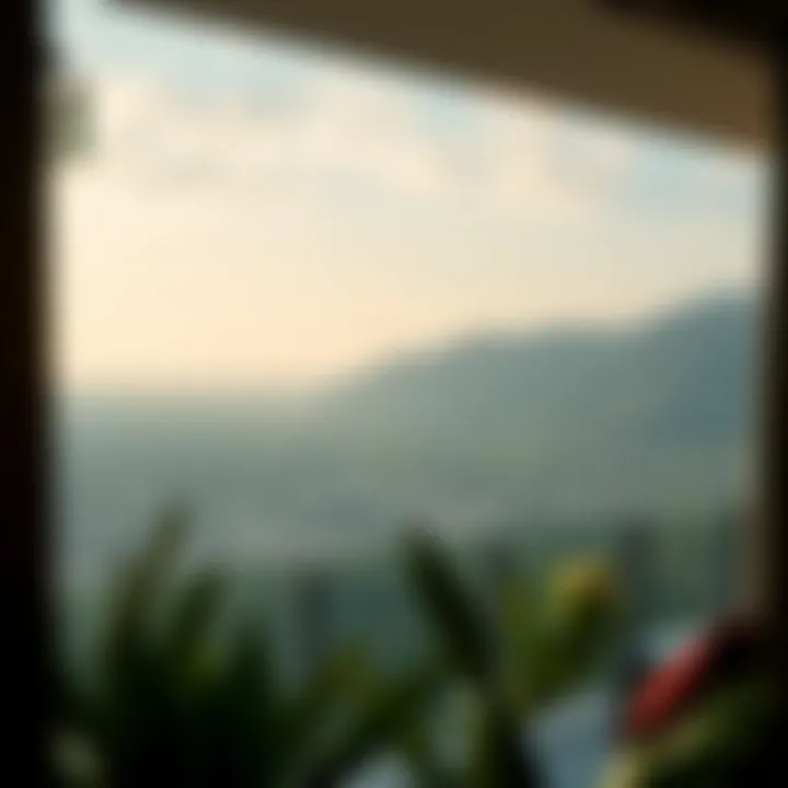 Panoramic Landscape from Radisson Balcony Breathtaking view from a balcony overlooking the lush landscape of Damac Hills