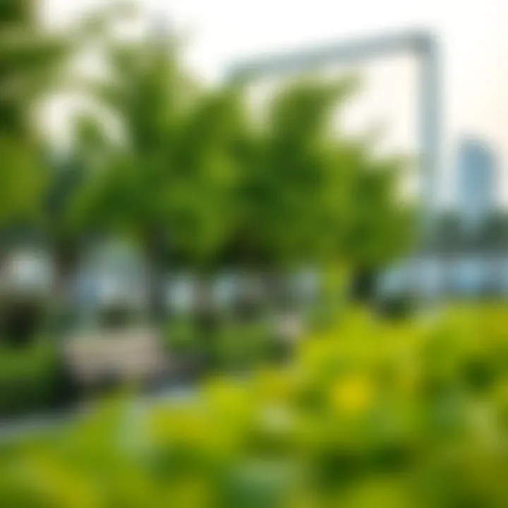Serene Greenery and Relaxation Spots Lush greenery and benches for relaxation in a park adjacent to Dubai Frame