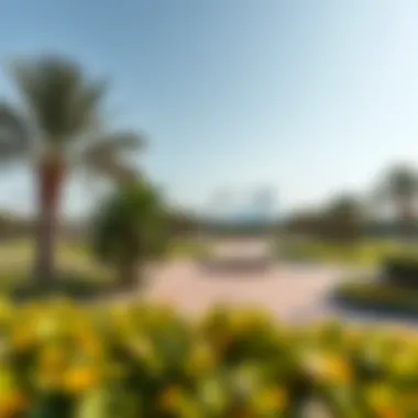 Panoramic Park View Near Dubai Frame A panoramic view of a park with Dubai Frame in the background