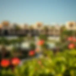 A panoramic view of Al-Mushrif Garden showcasing its diverse flora.