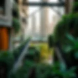 Lush greenery amidst urban architecture in UAE