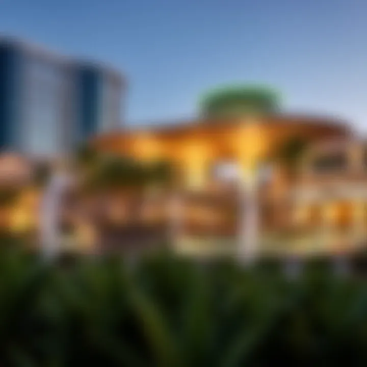 State-of-the-Art Amenities in Novo Festival City Innovative recreational facilities at Novo Festival City