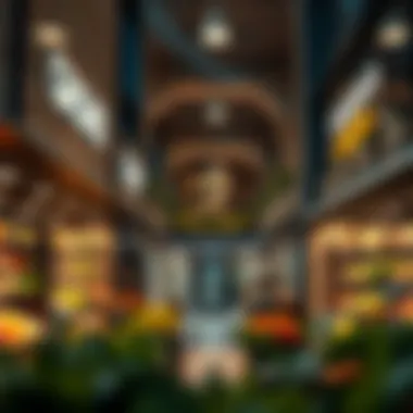 The Proximity Factor: Understanding the Role of Nearby Grocery Shops in Dubai Summary The Proximity Factor: Understanding the Role of Nearby Grocery Shops in Dubai Summary