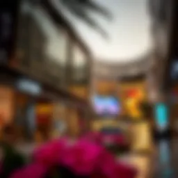 Understanding Shopping Centers in Dubai Introduction